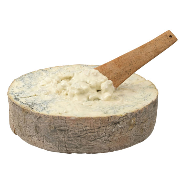 GORGONZOLA STRACH'IN